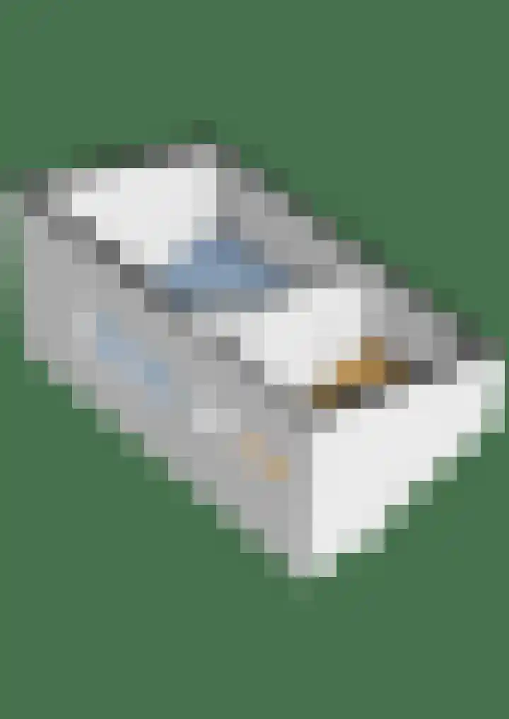 Waterhoenlaan 89 Zeist thumbnail 36