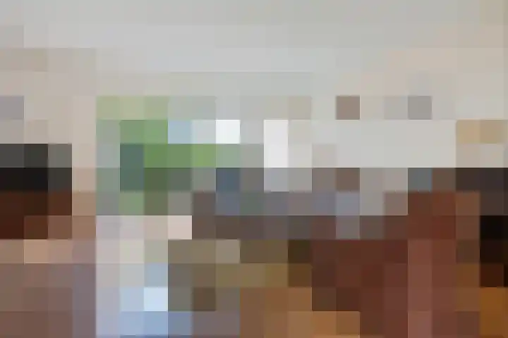 Waterhoenlaan 89 Zeist thumbnail 9