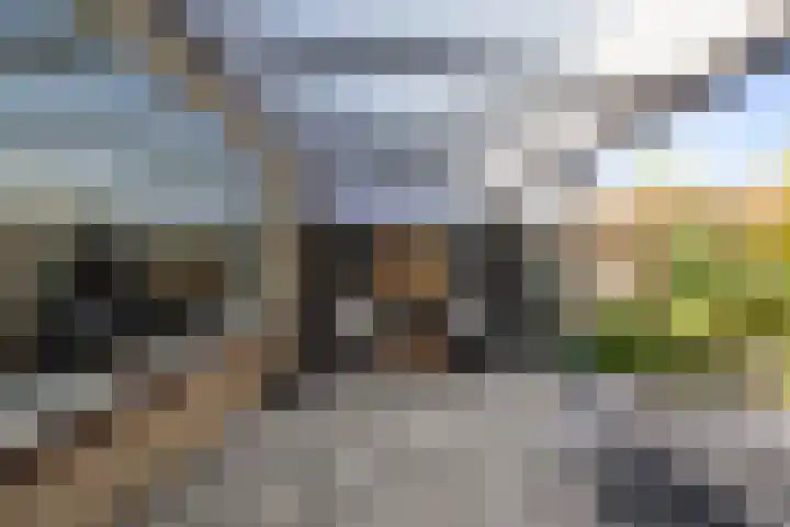 Waterhoenstraat 10 Anna Paulowna thumbnail 9