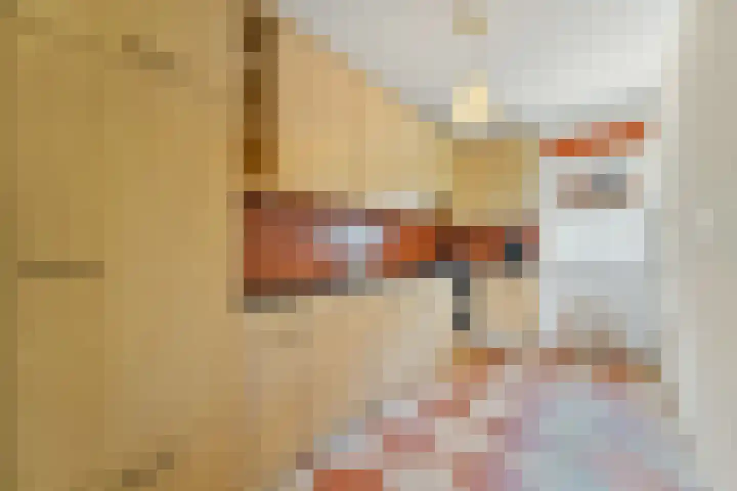 Waterhoenstraat 11 Delft thumbnail 12