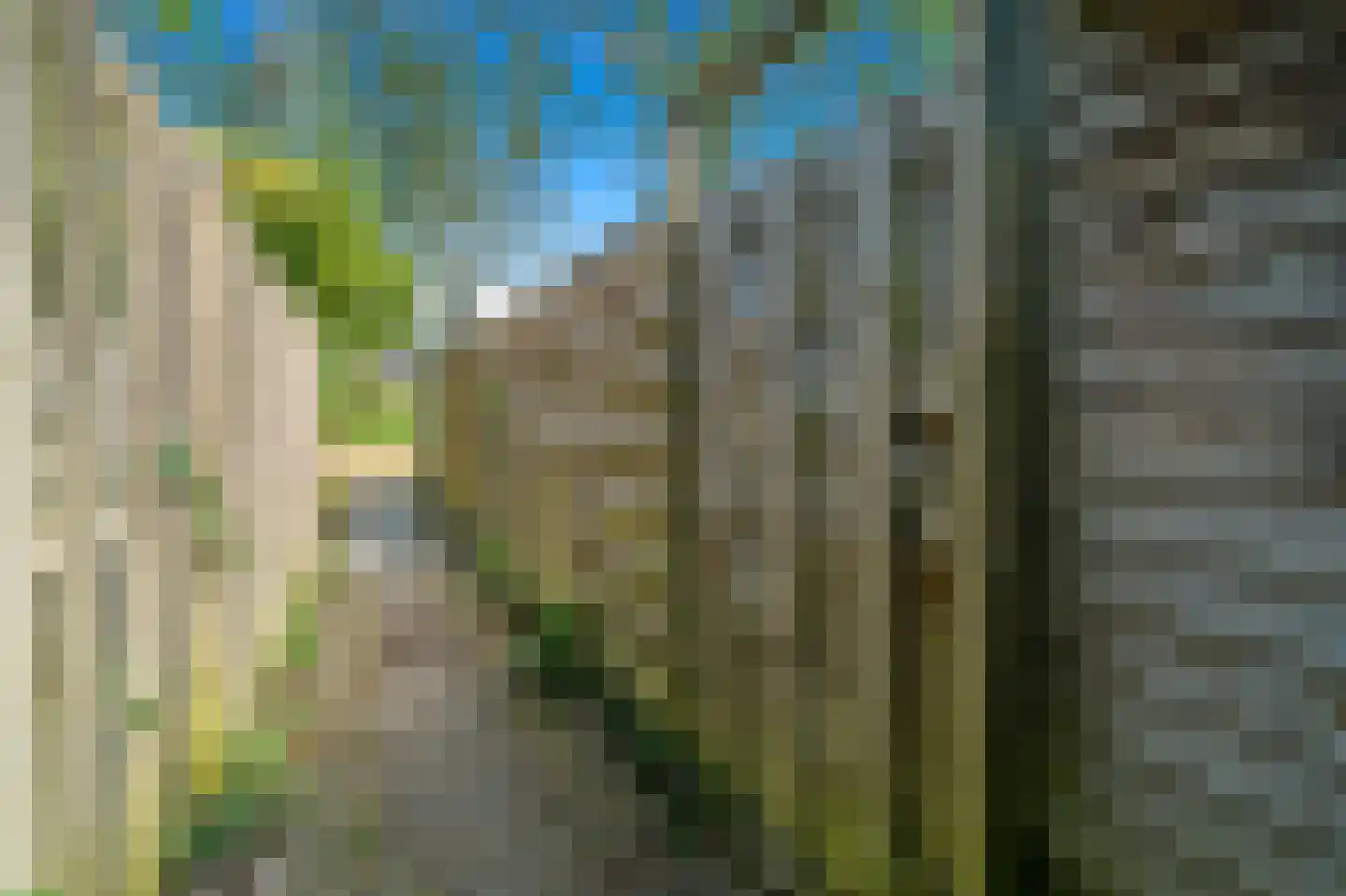 Waterhoenstraat 11 Delft thumbnail 21