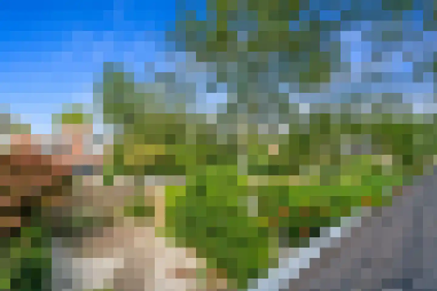 Waterhoenstraat 11 Delft thumbnail 37
