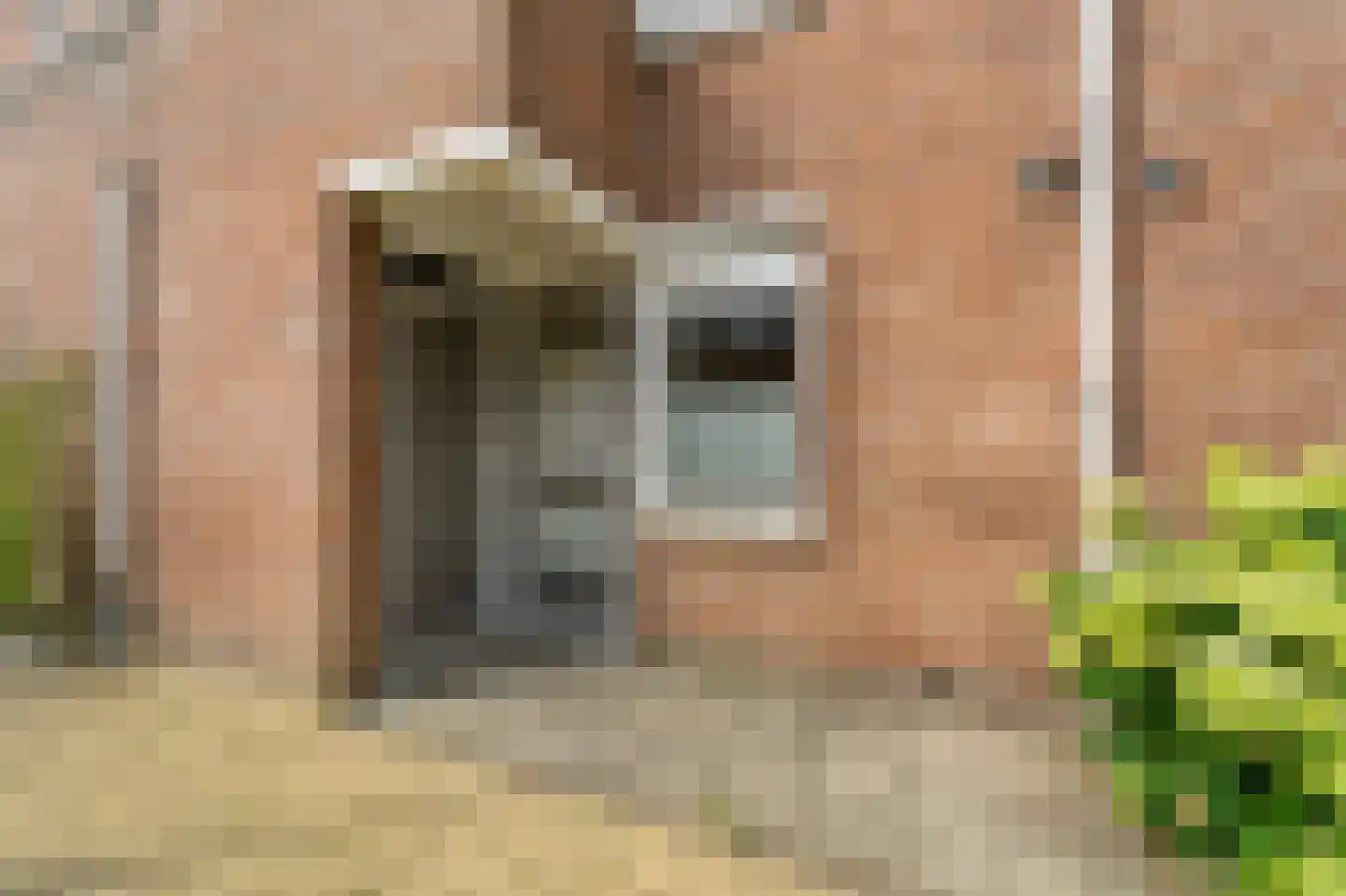 Waterhoenstraat 11 Delft thumbnail 5
