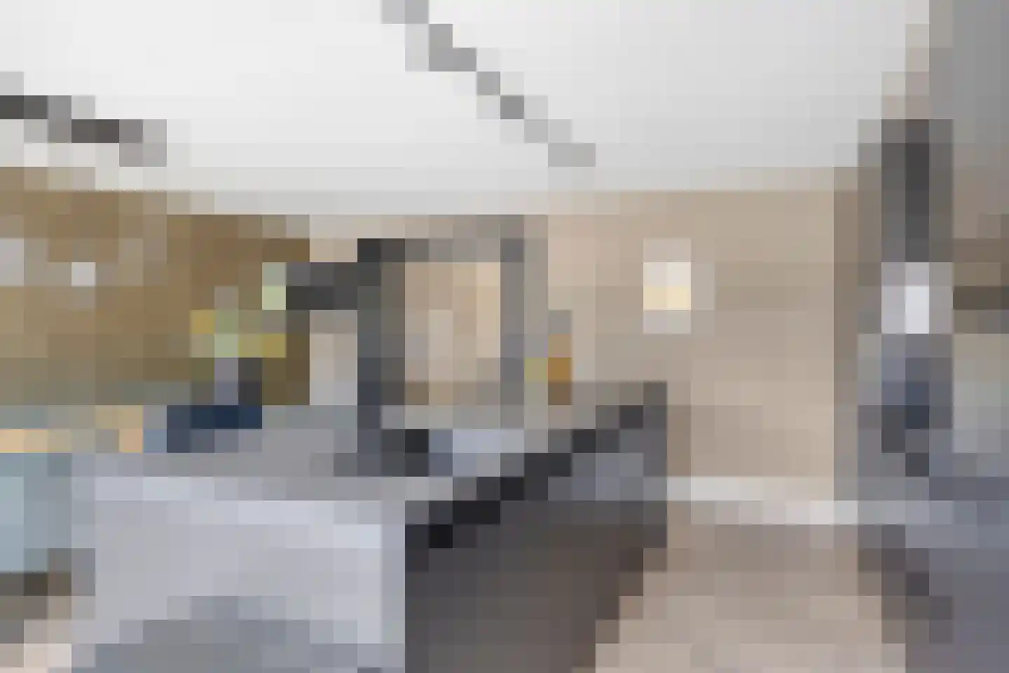 Waterhoenstraat 12 Goor thumbnail 11