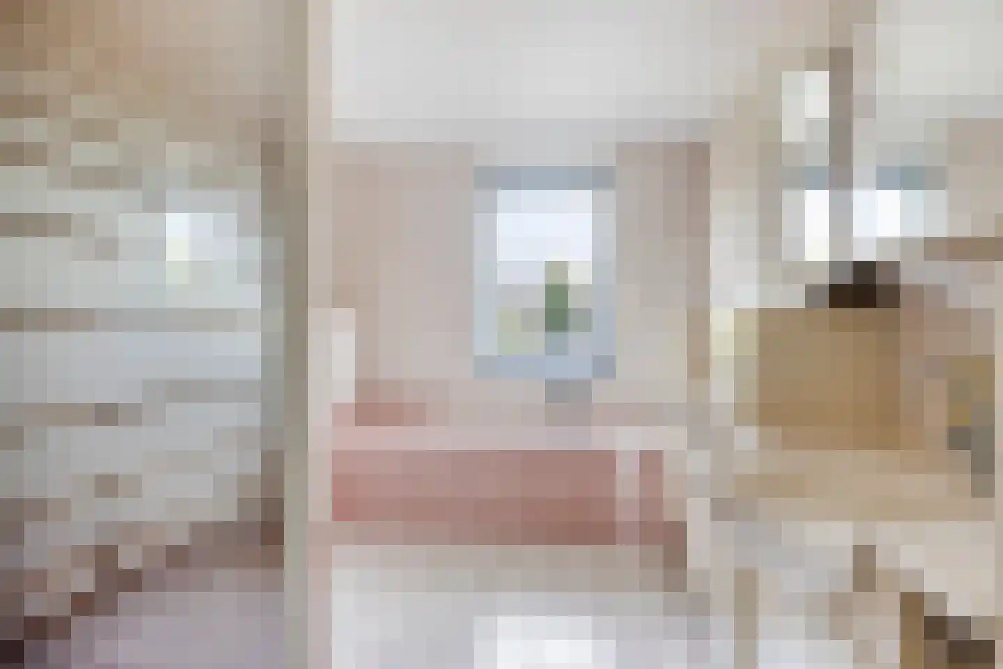 Waterhoenstraat 12 Goor thumbnail 20