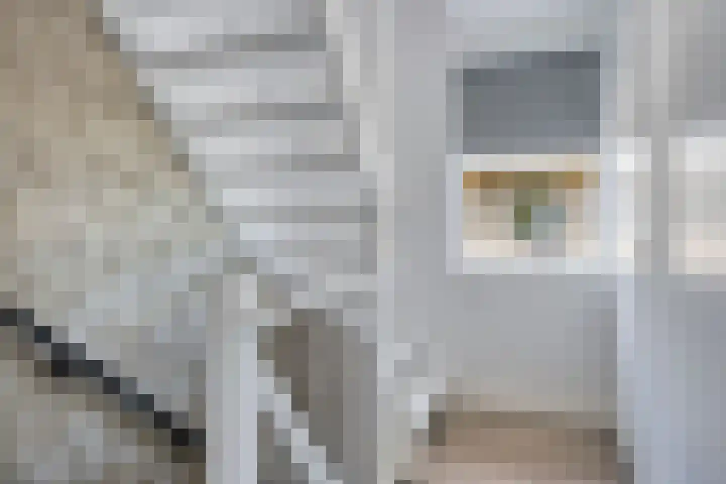 Waterhoenstraat 12 Goor thumbnail 26