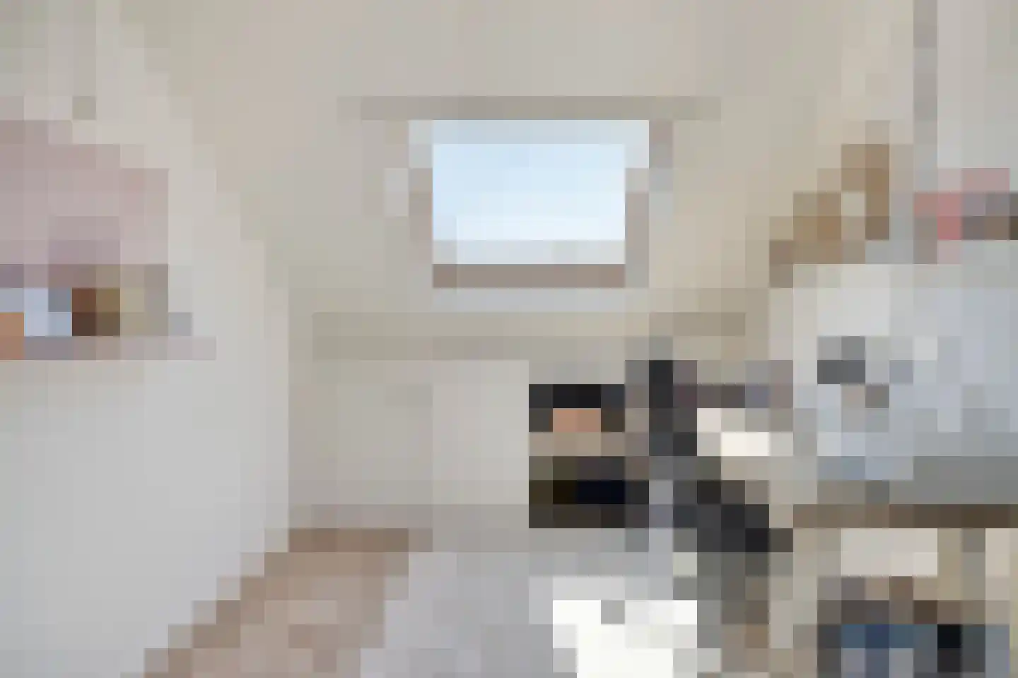 Waterhoenstraat 12 Goor thumbnail 28
