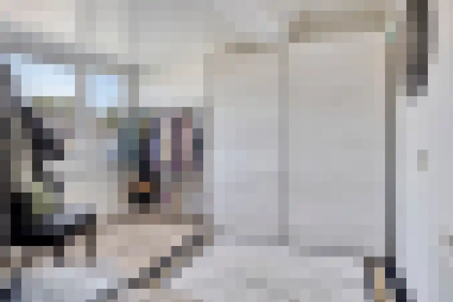 Waterhoenstraat 12 Goor thumbnail 30