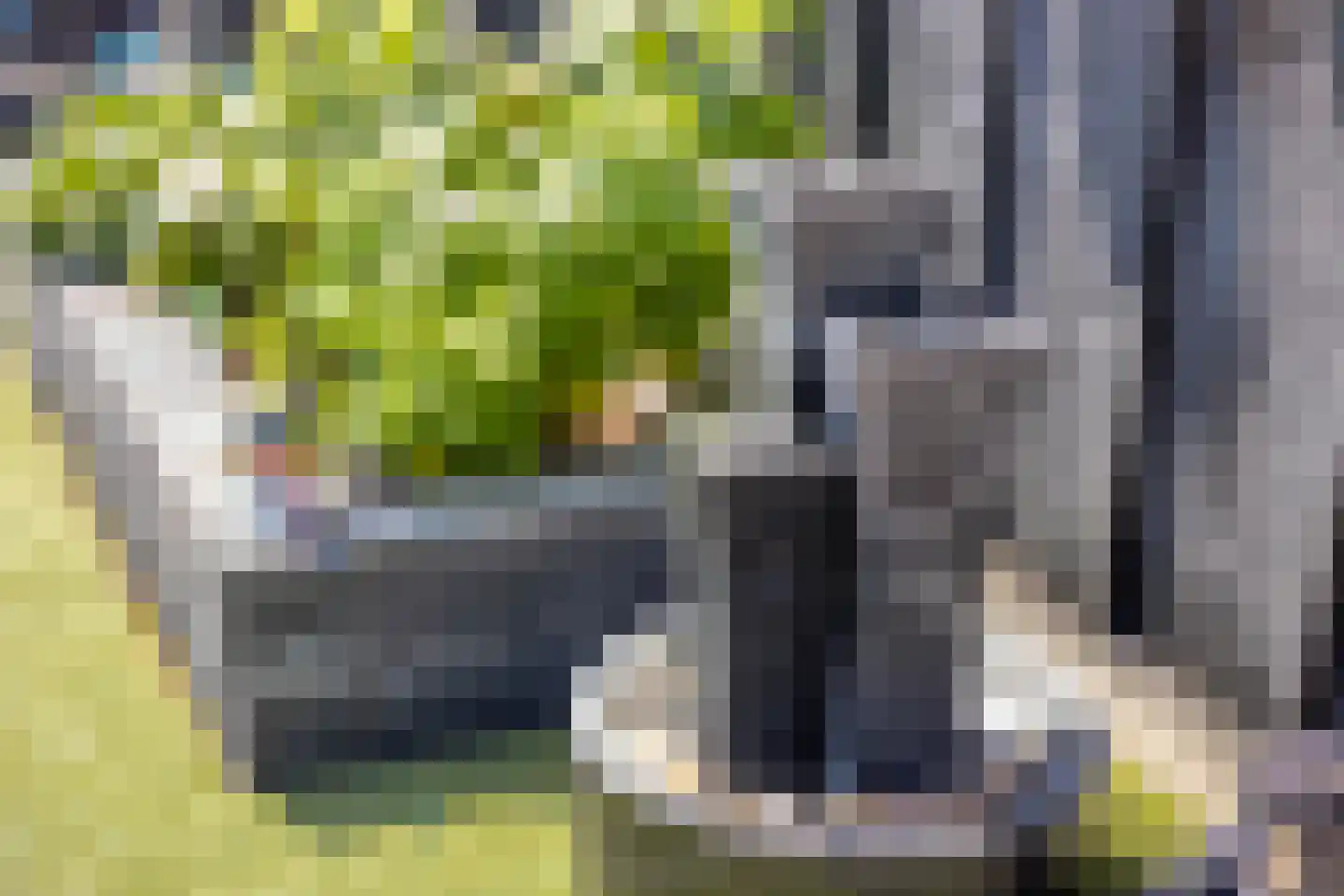 Waterhoenstraat 12 Goor thumbnail 35