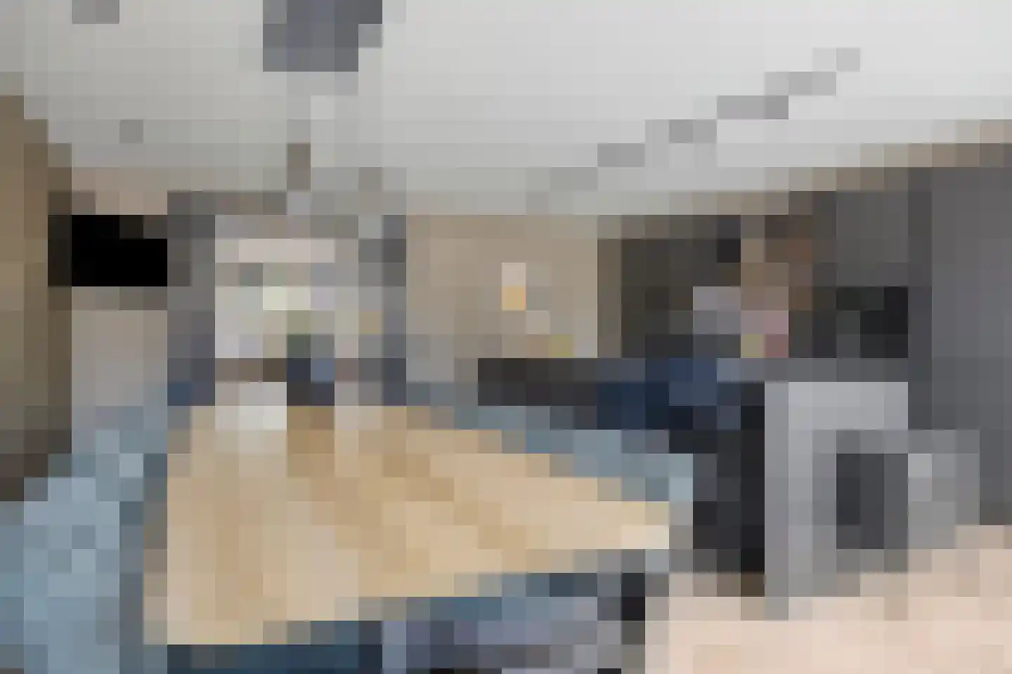 Waterhoenstraat 12 Goor thumbnail 9
