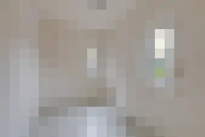 Waterhoenstraat 13 Duiven thumbnail 30