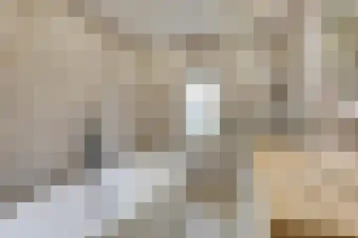 Waterhoenstraat 13 Duiven thumbnail 32