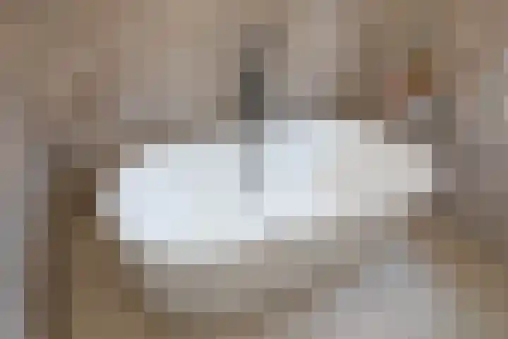 Waterhoenstraat 13 Duiven thumbnail 33
