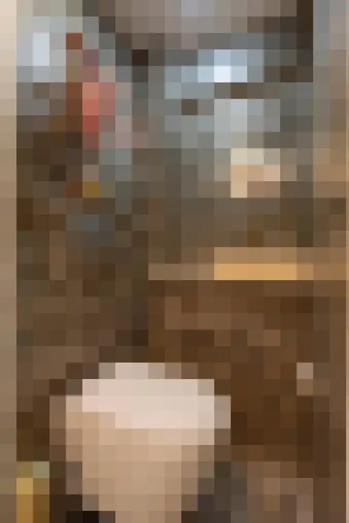 Waterhoenstraat 13 Duiven thumbnail 8