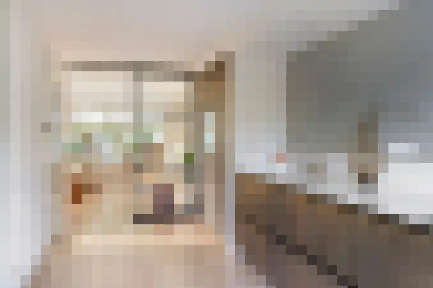 Waterhoenstraat 2 Goor thumbnail 13