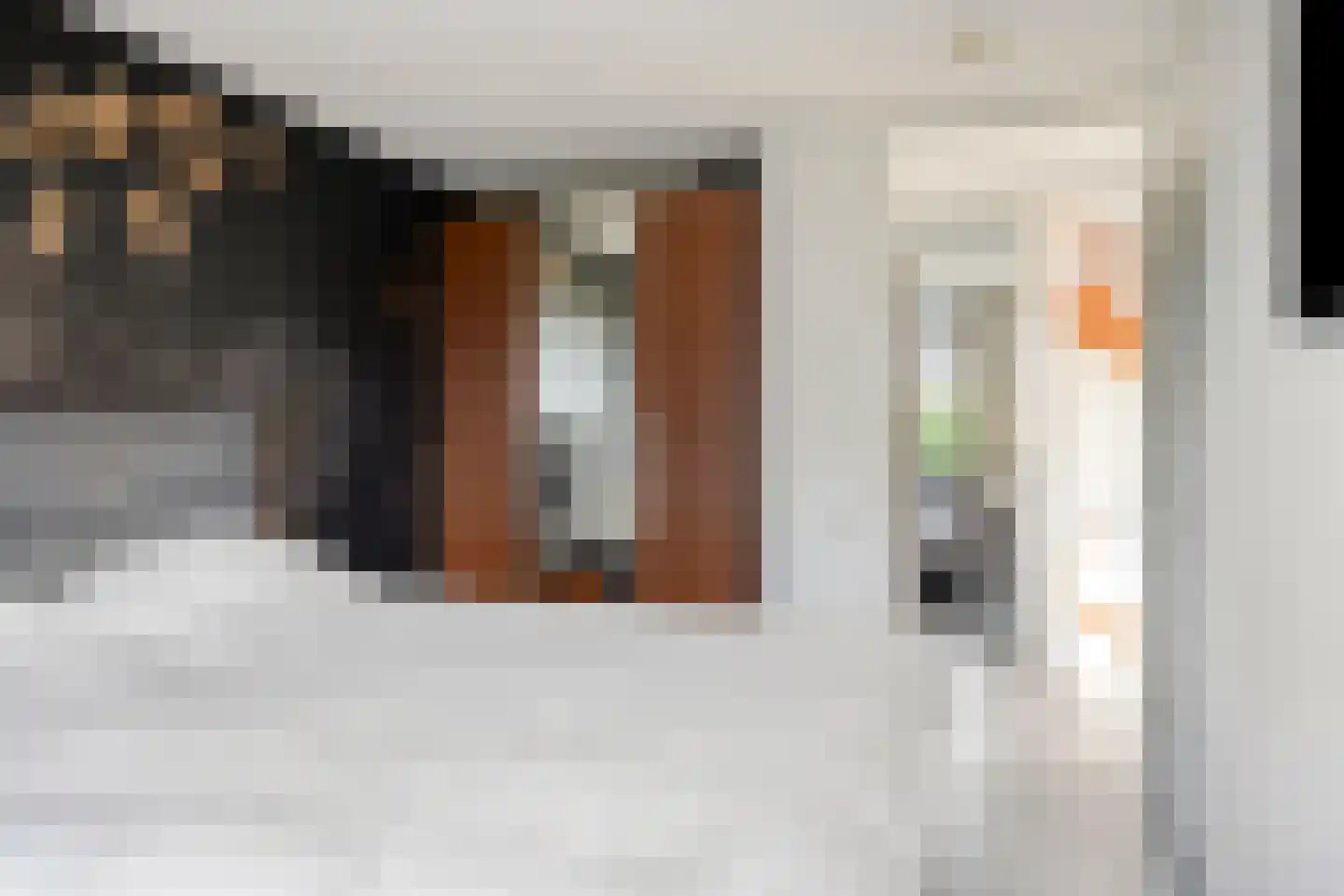 Waterhoenstraat 2 Goor thumbnail 19