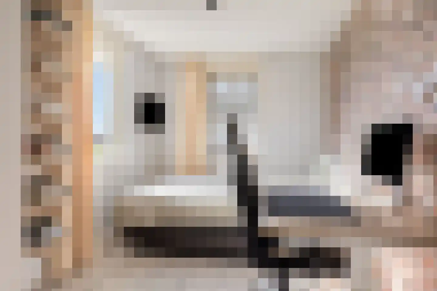 Waterhoenstraat 2 Goor thumbnail 22