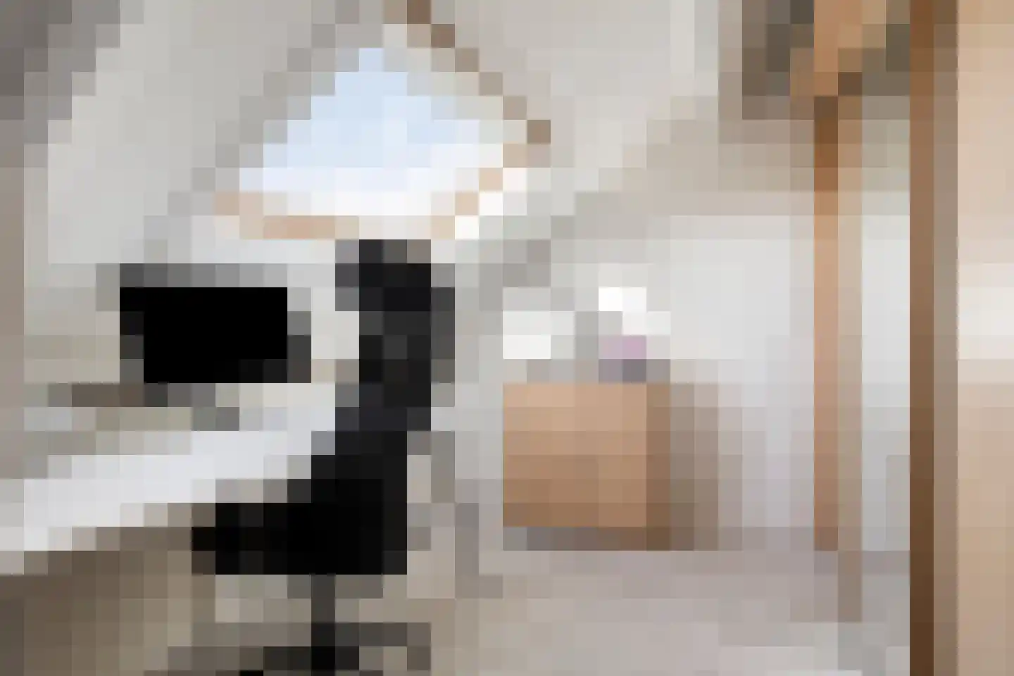 Waterhoenstraat 2 Goor thumbnail 26