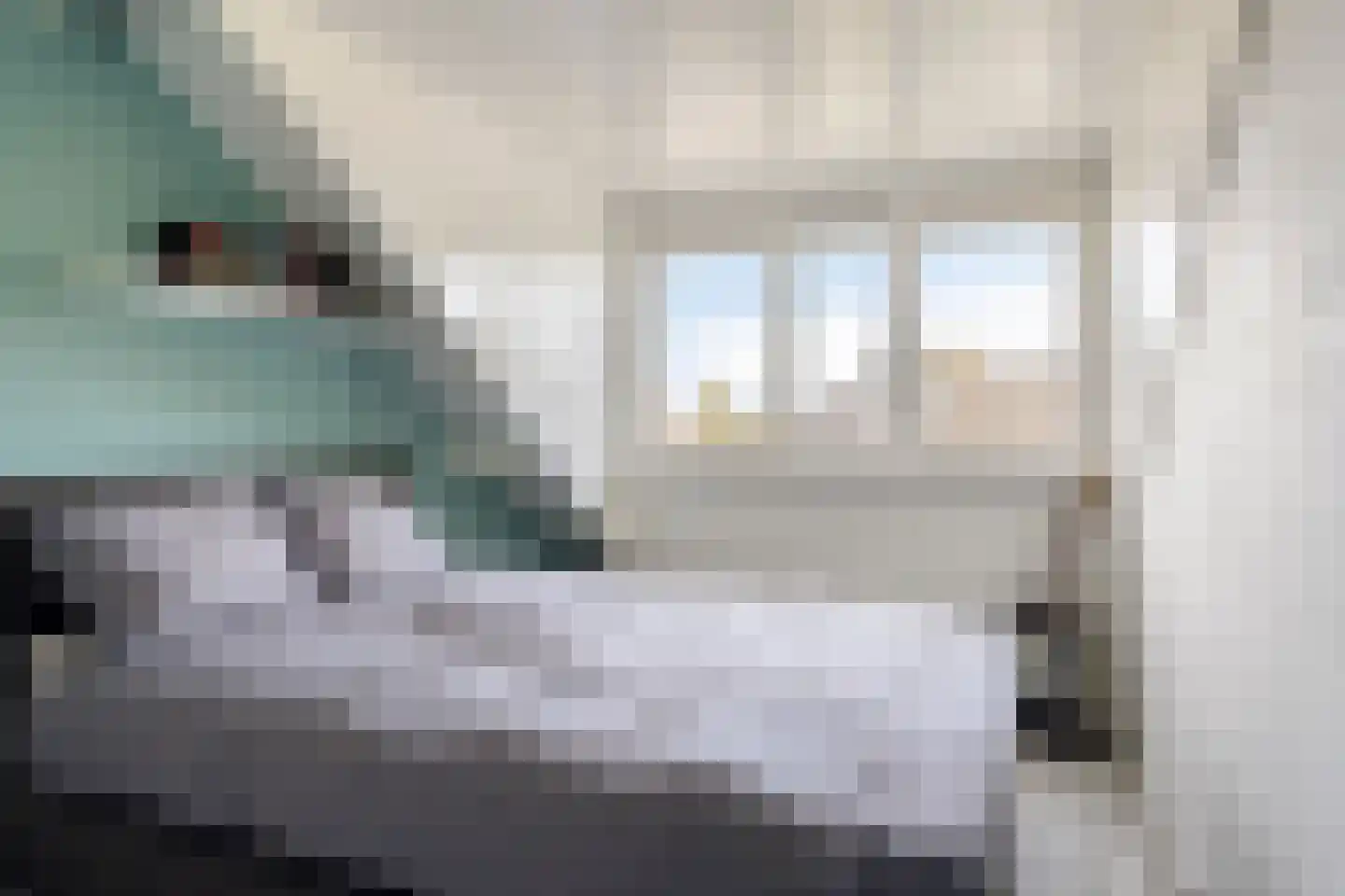 Waterhoenstraat 2 Goor thumbnail 27