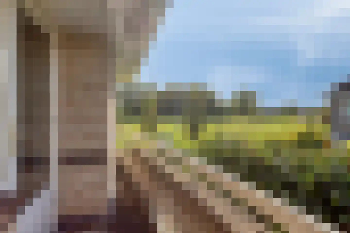 Waterhoenstraat 2 Goor thumbnail 30