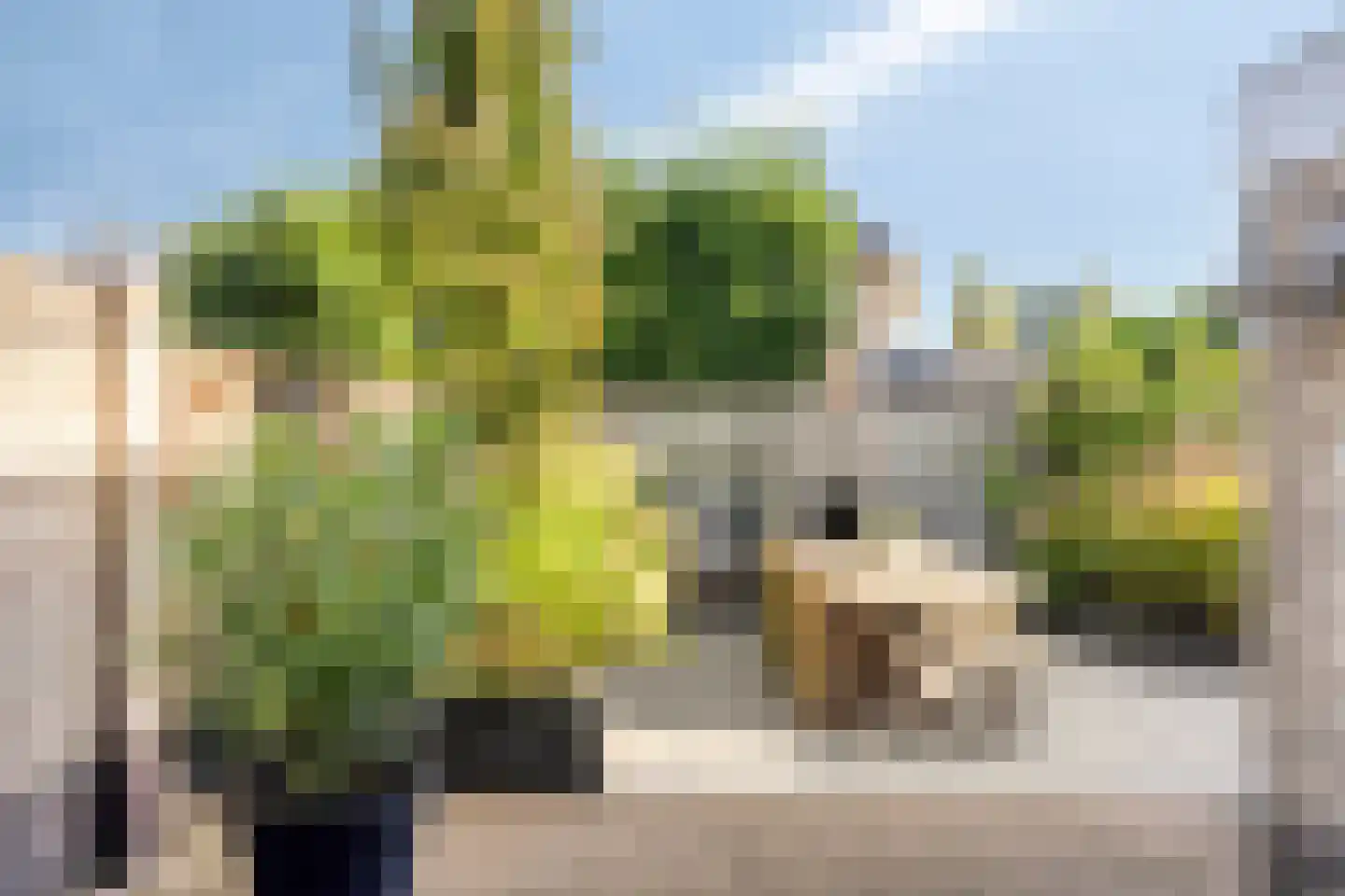 Waterhoenstraat 2 Goor thumbnail 31