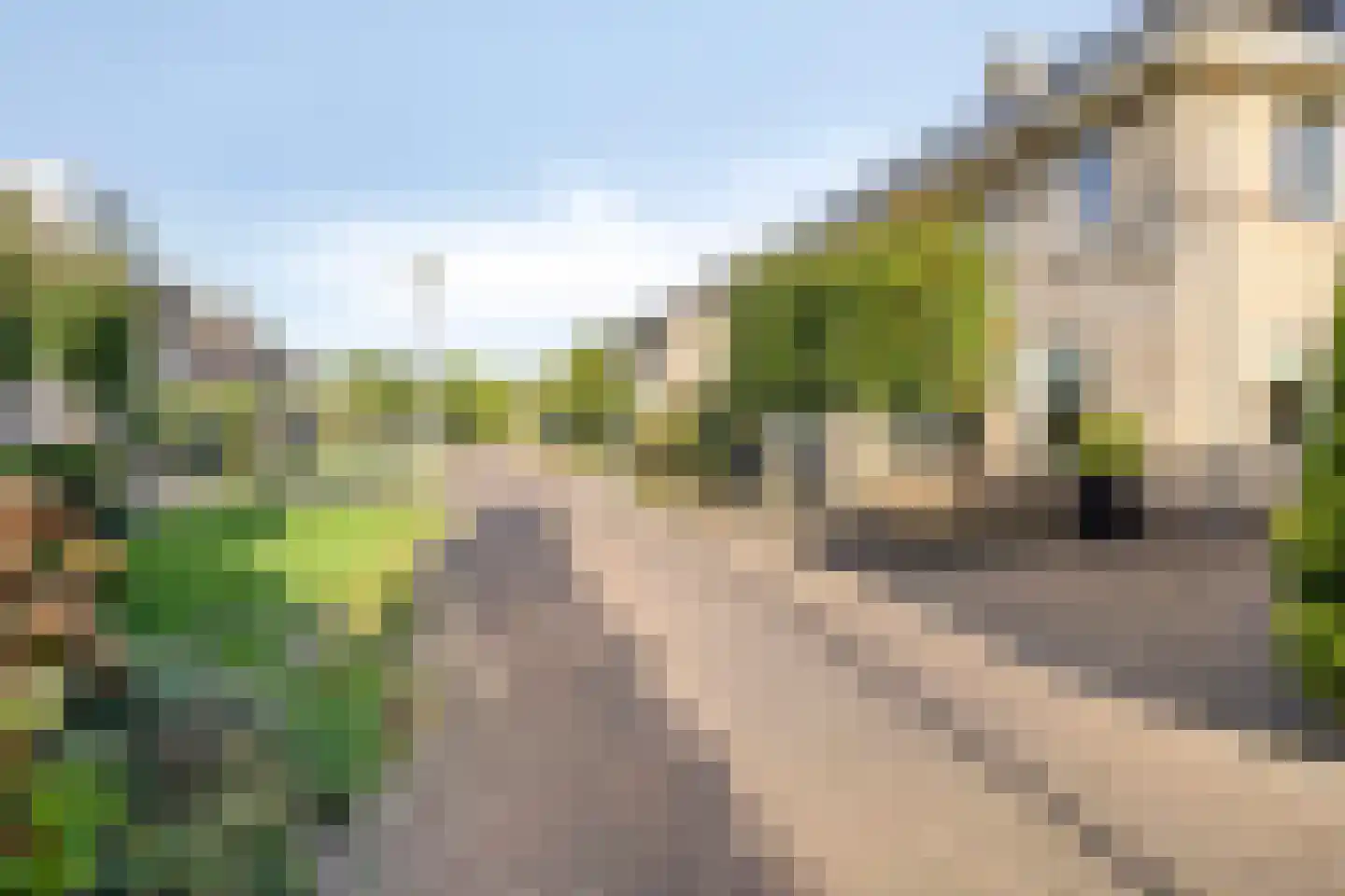 Waterhoenstraat 2 Goor thumbnail 36