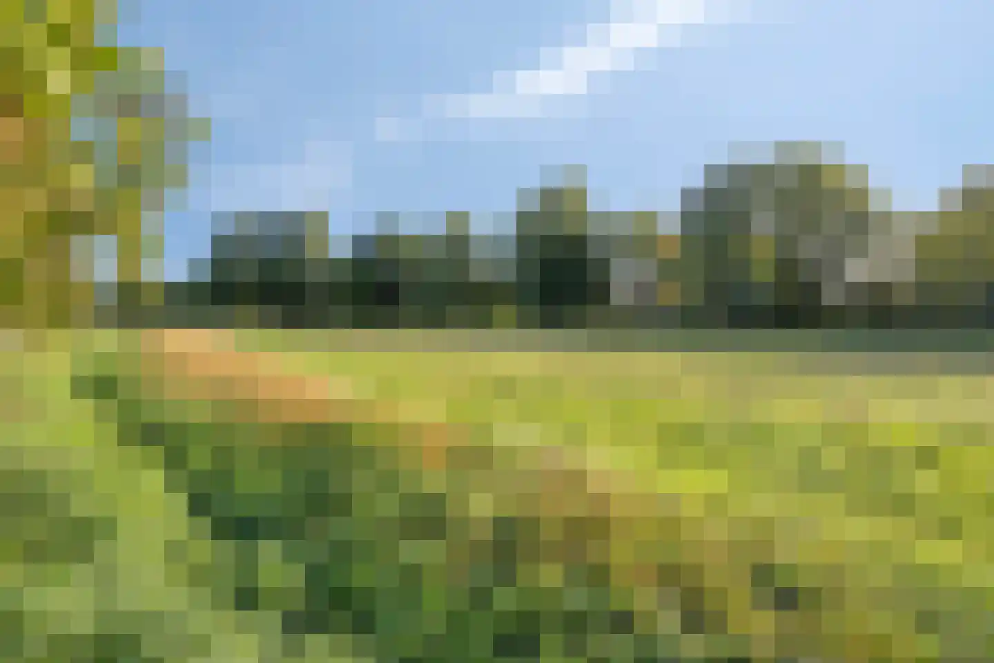 Waterhoenstraat 2 Goor thumbnail 37