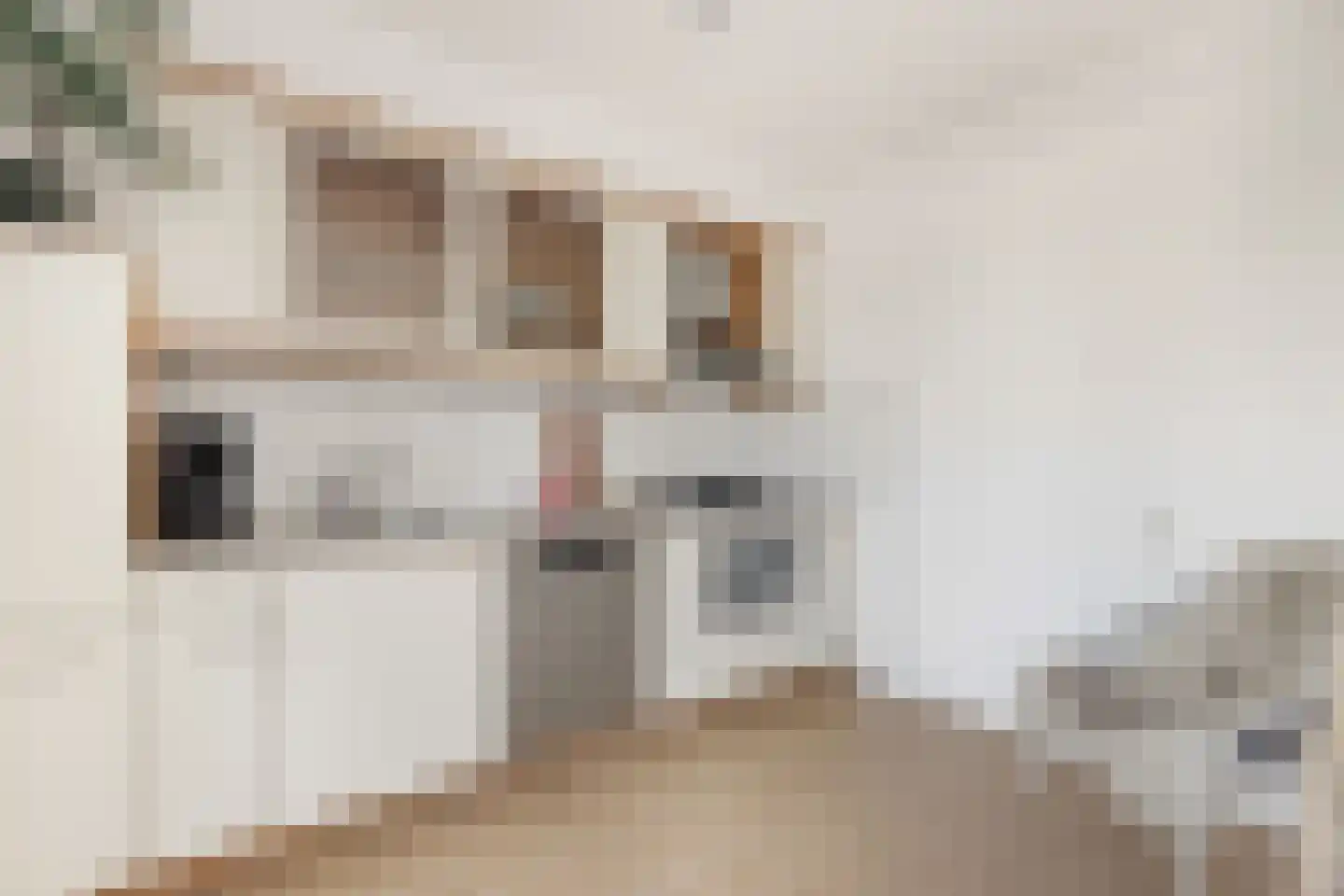 Waterhoenstraat 20 Anna Paulowna thumbnail 16