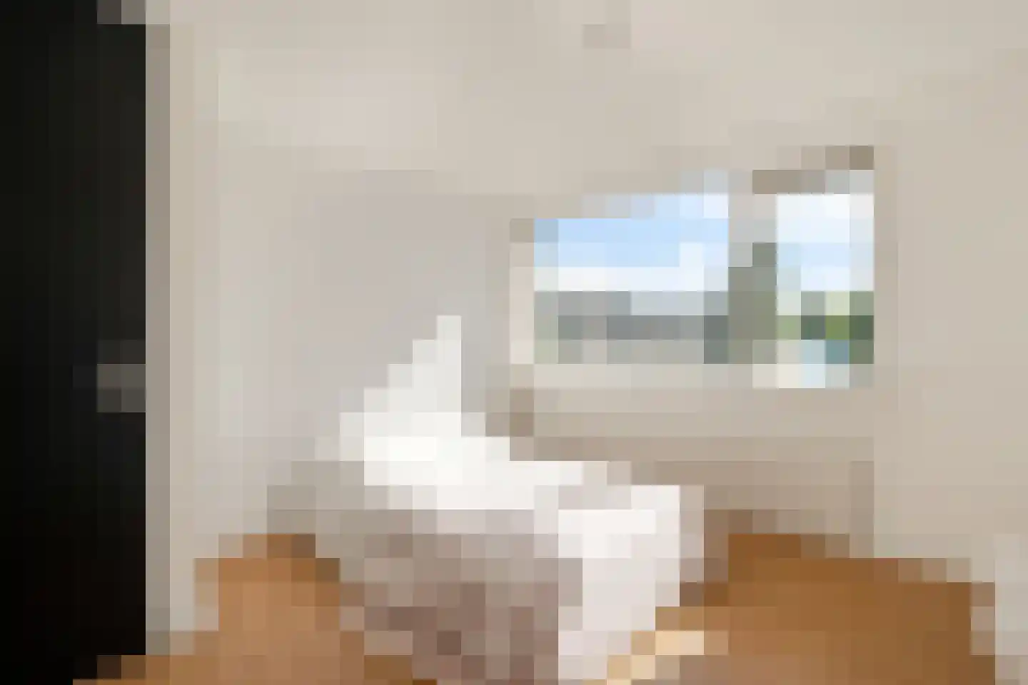 Waterhoenstraat 20 Anna Paulowna thumbnail 26
