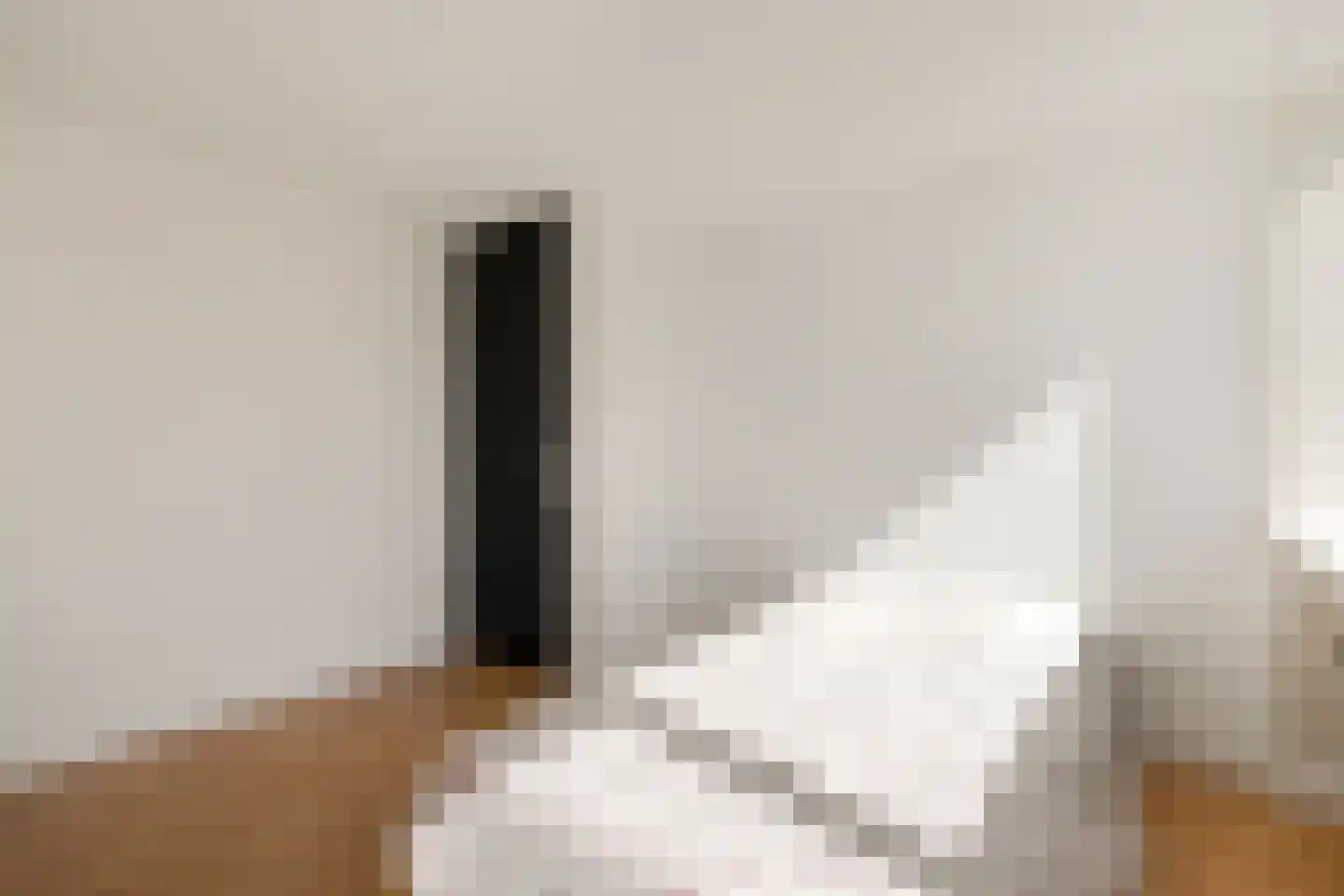 Waterhoenstraat 20 Anna Paulowna thumbnail 27
