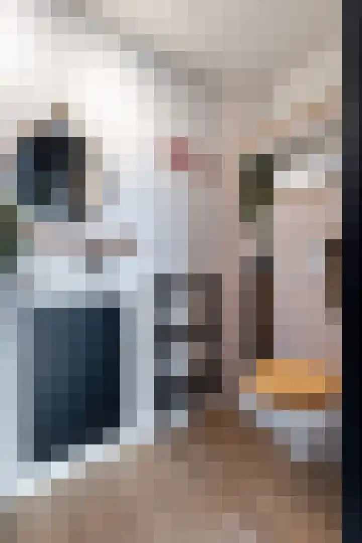 Waterhoenstraat 20 Sneek thumbnail 11