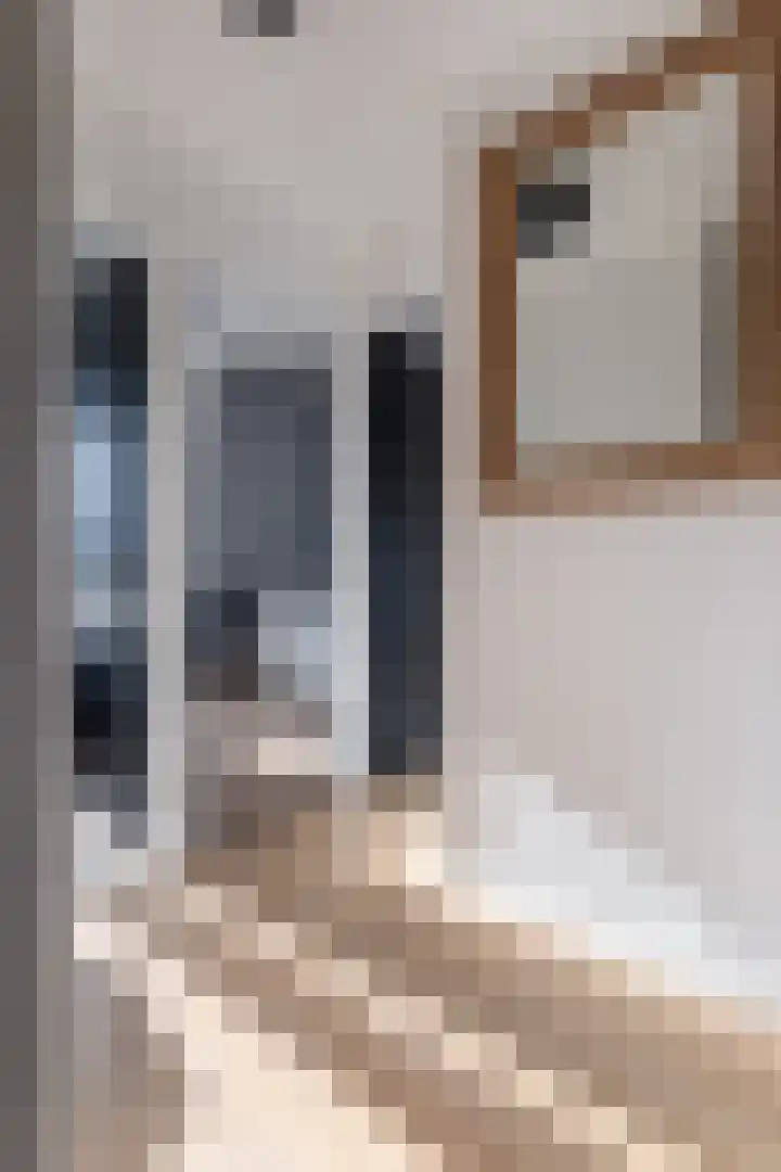 Waterhoenstraat 20 Sneek thumbnail 23