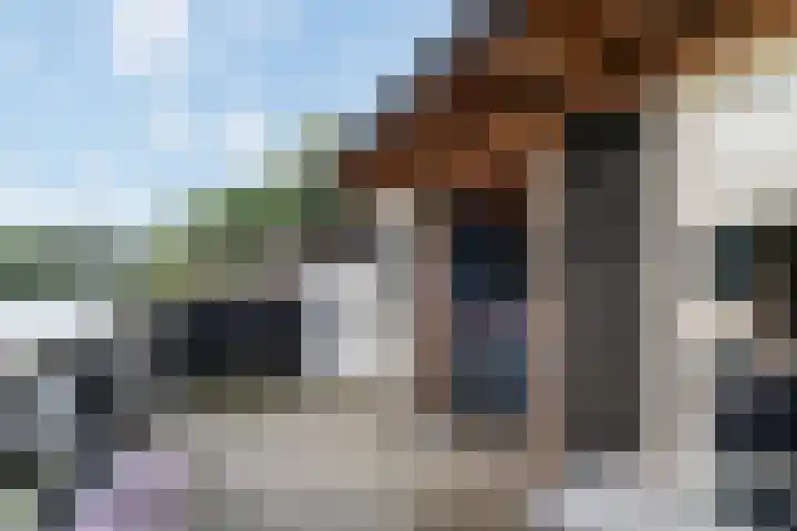 Waterhoenstraat 20 Sneek thumbnail 5