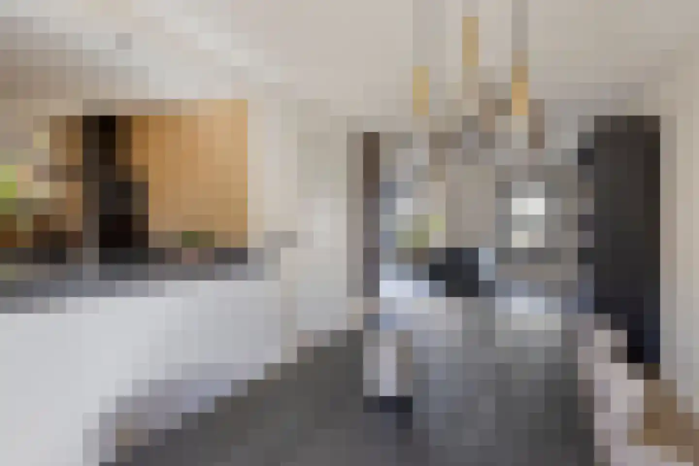 Waterhoenstraat 3 Goor thumbnail 10