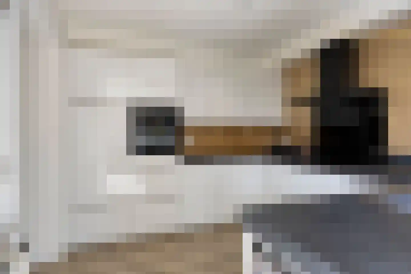 Waterhoenstraat 3 Goor thumbnail 11