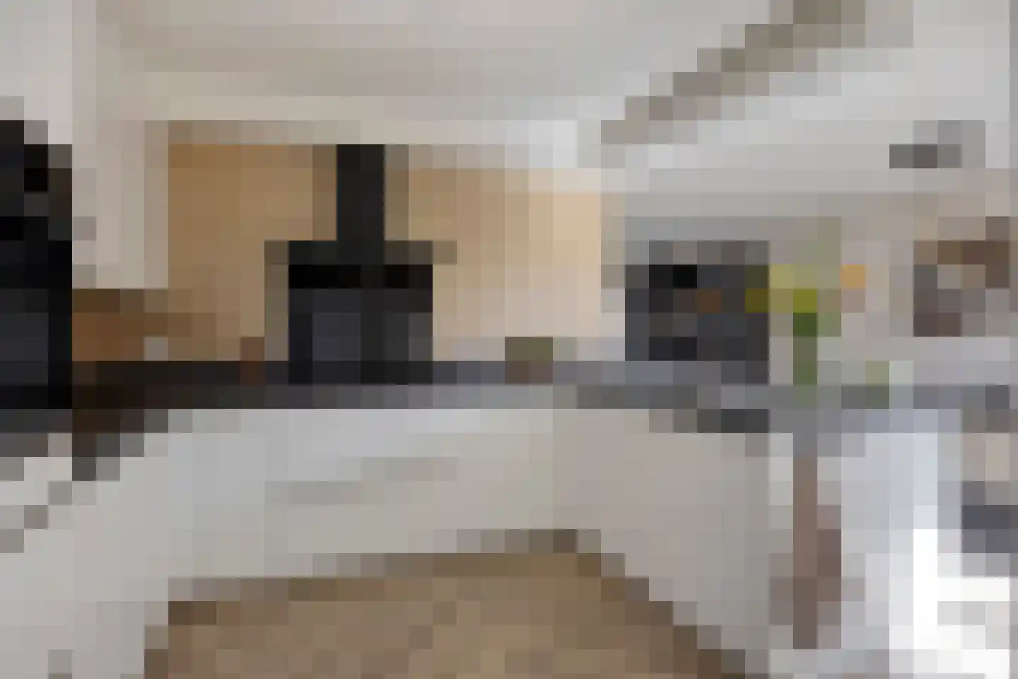 Waterhoenstraat 3 Goor thumbnail 12