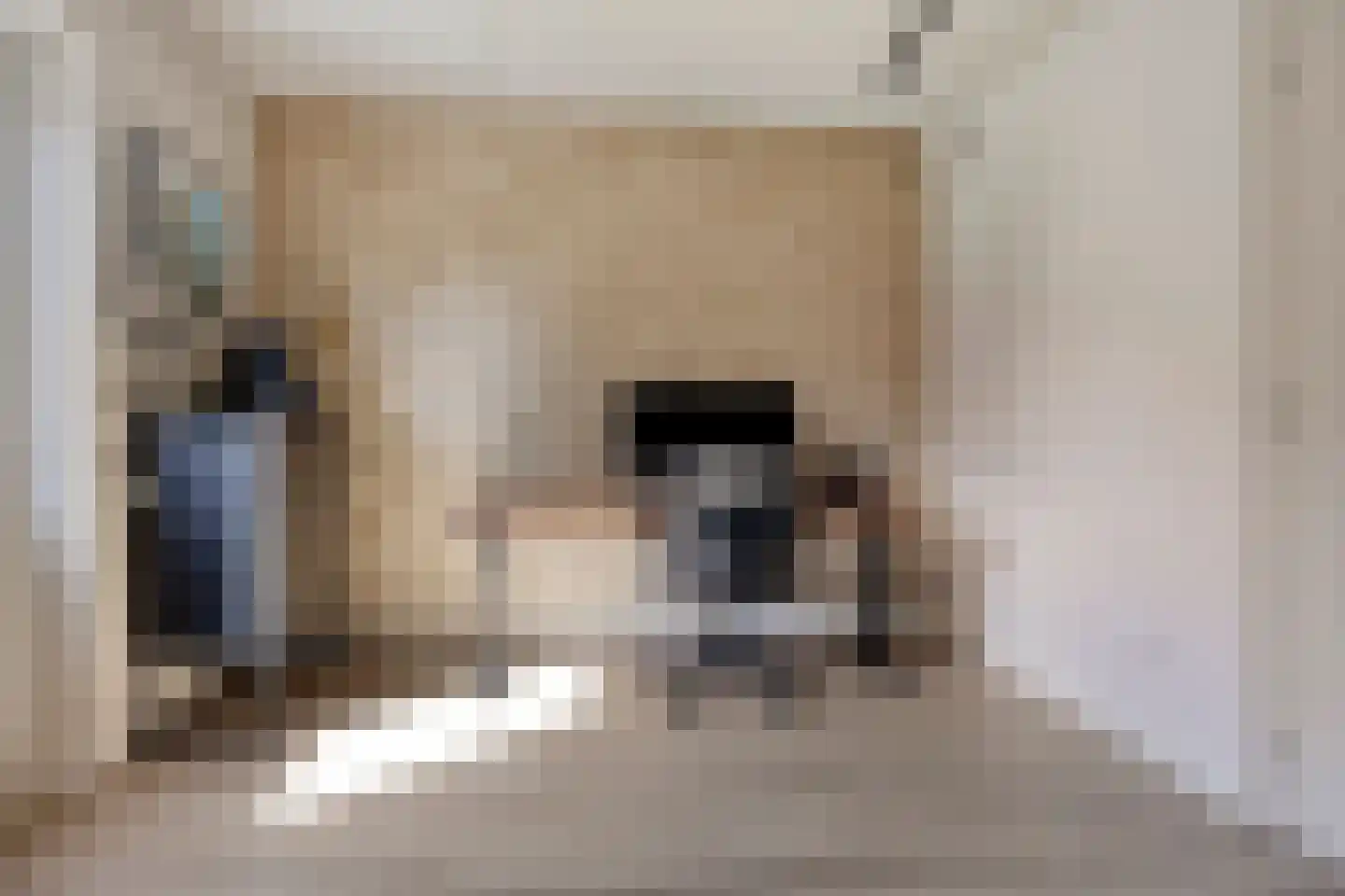 Waterhoenstraat 3 Goor thumbnail 14