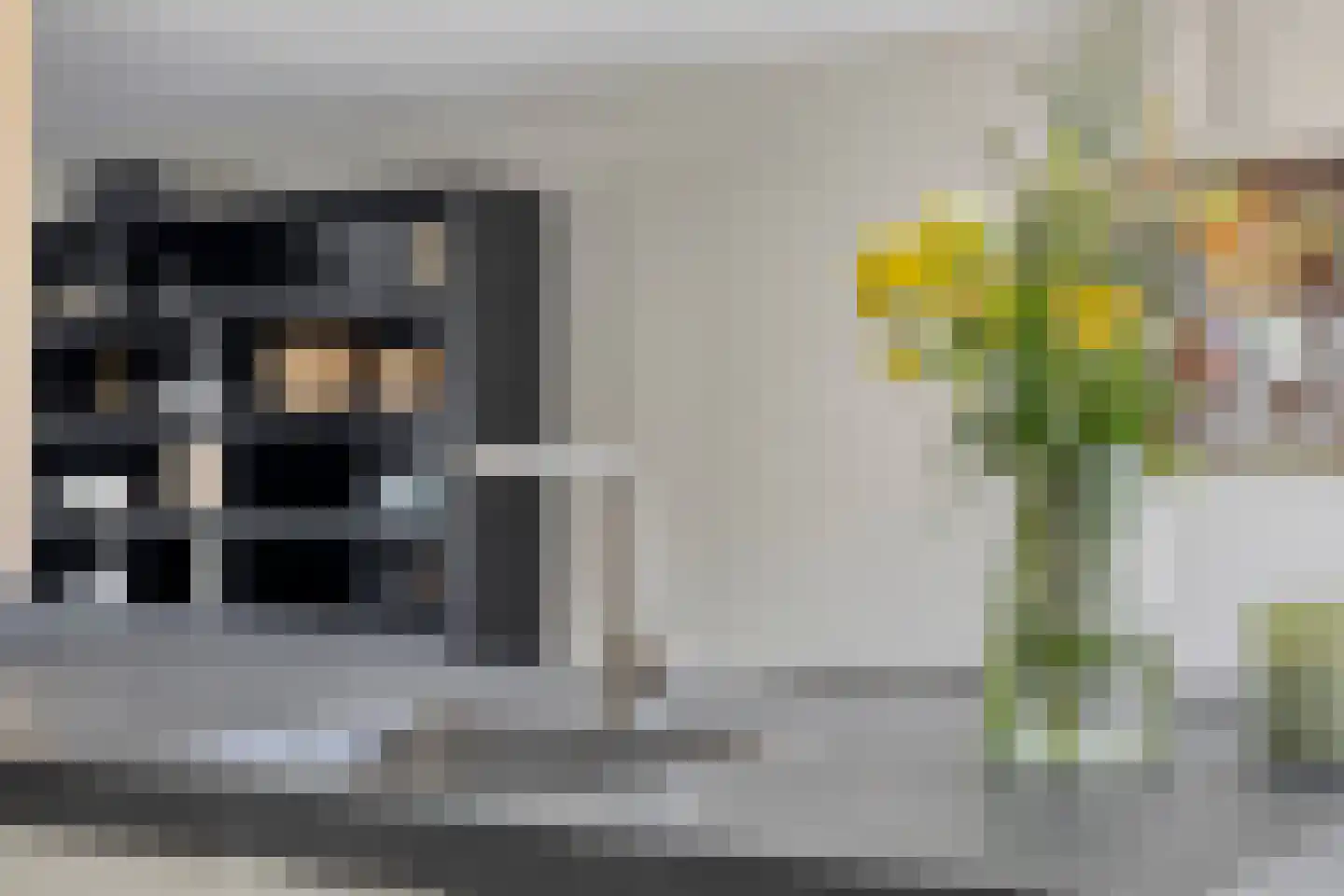 Waterhoenstraat 3 Goor thumbnail 16