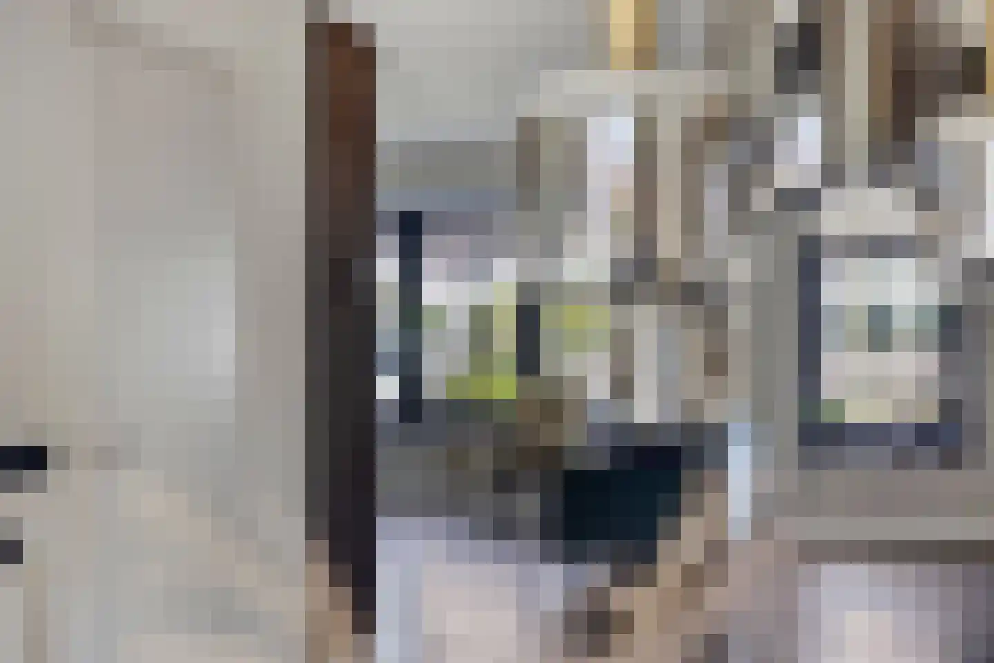 Waterhoenstraat 3 Goor thumbnail 18