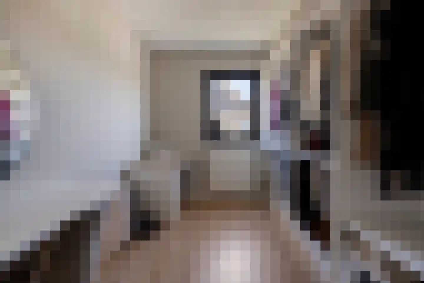 Waterhoenstraat 3 Goor thumbnail 25