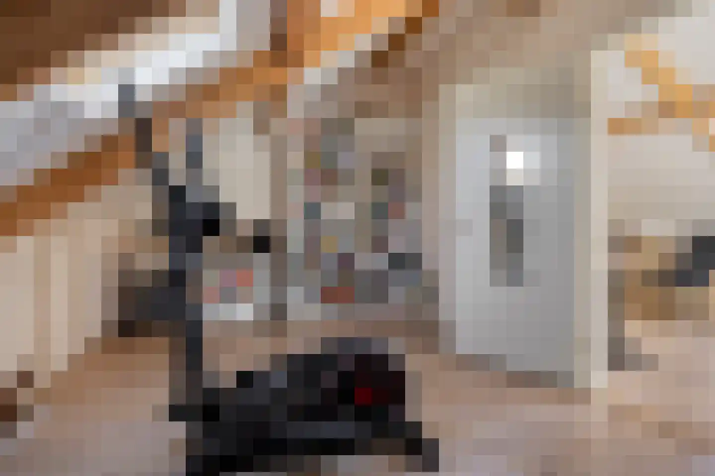Waterhoenstraat 3 Goor thumbnail 26