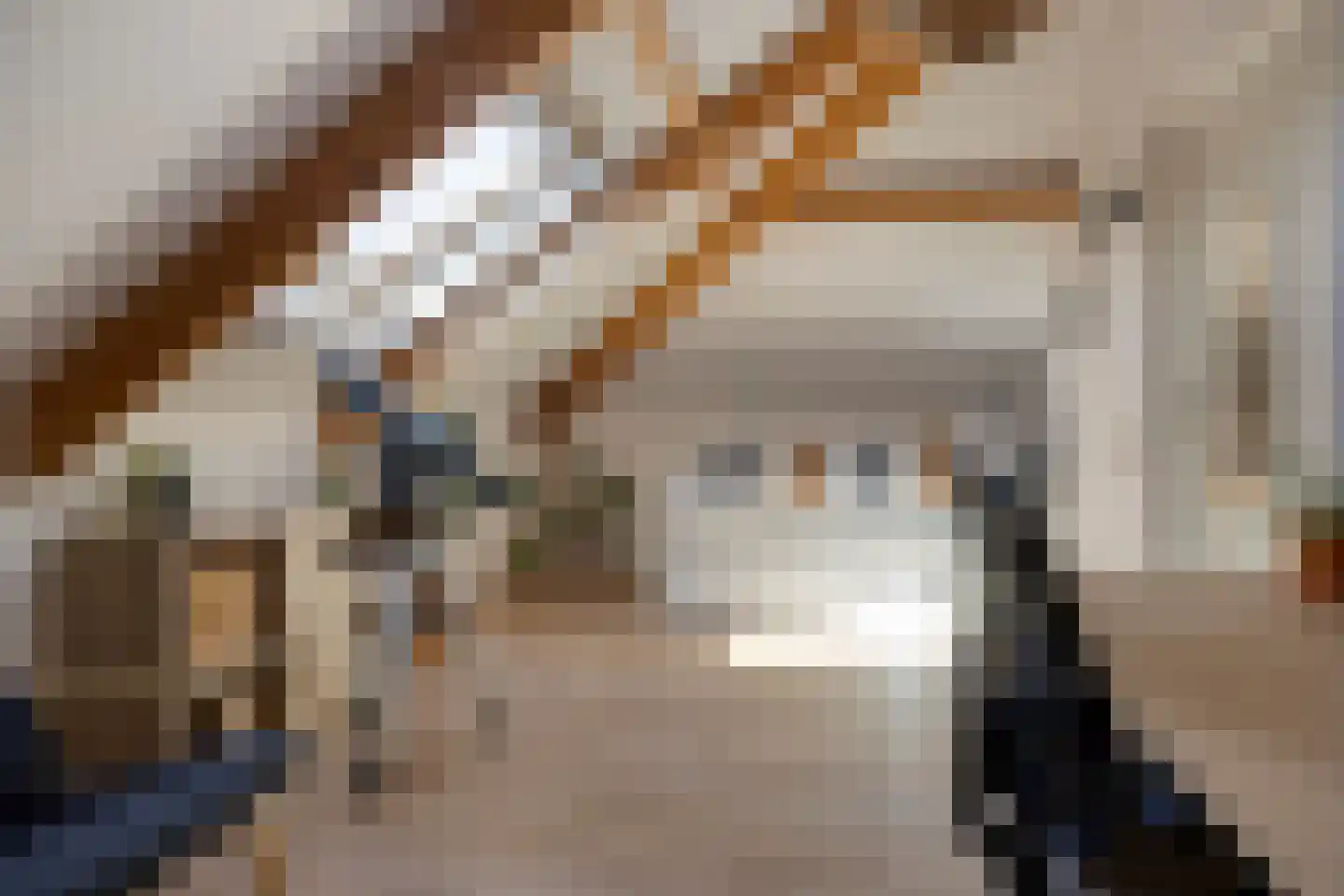 Waterhoenstraat 3 Goor thumbnail 27