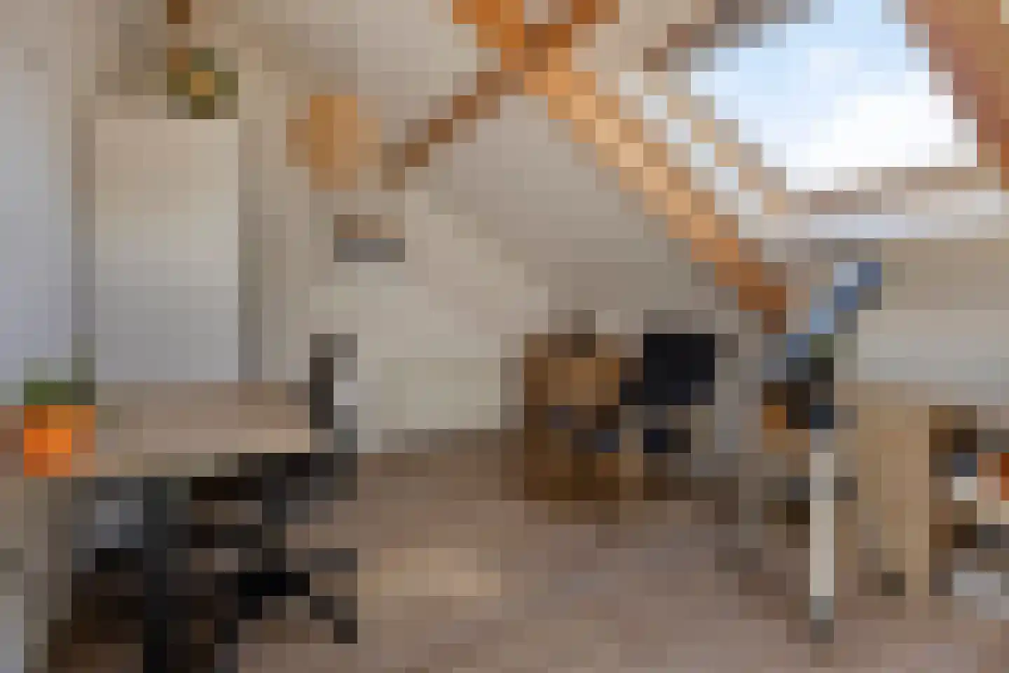 Waterhoenstraat 3 Goor thumbnail 28