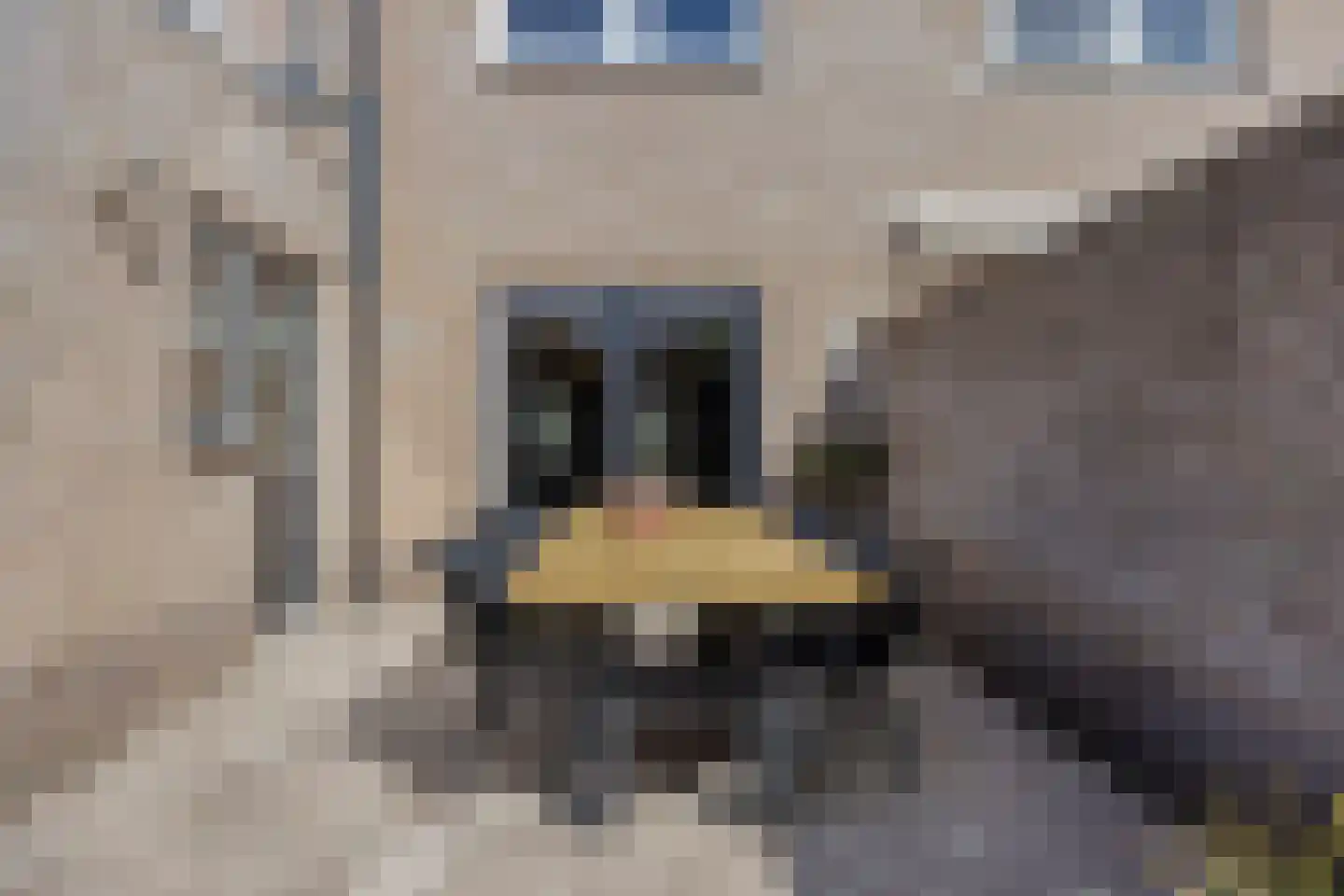 Waterhoenstraat 3 Goor thumbnail 34