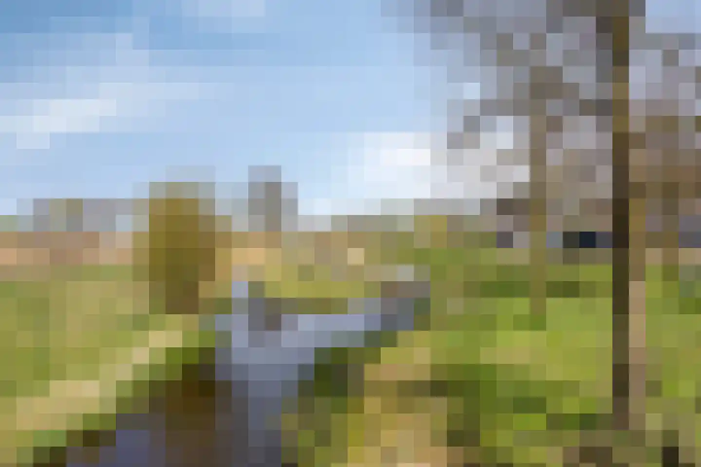 Waterhoenstraat 3 Goor thumbnail 37