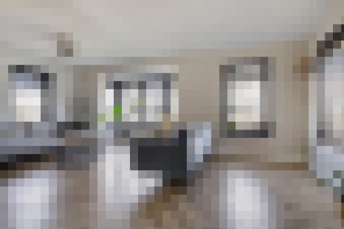 Waterhoenstraat 3 Goor thumbnail 6