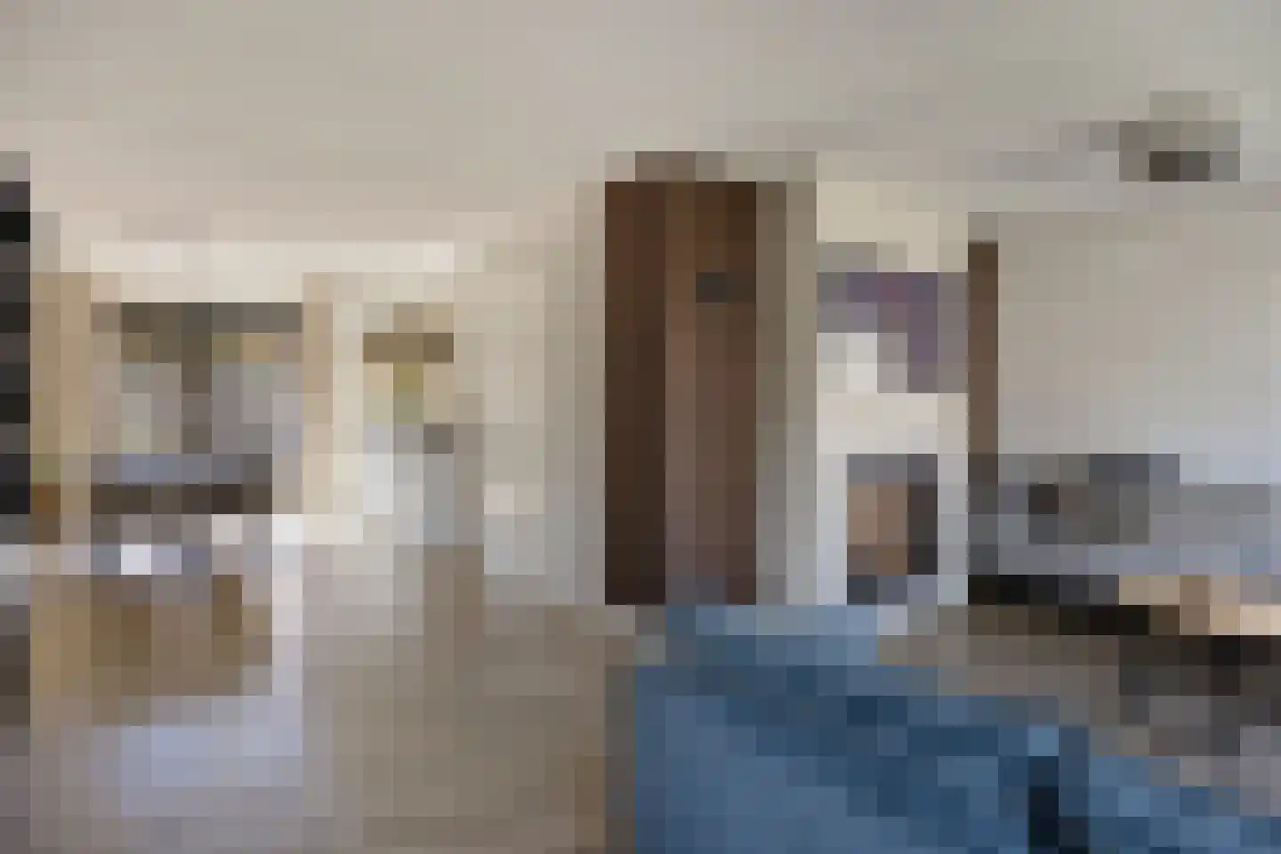 Waterhoenstraat 3 Goor thumbnail 8