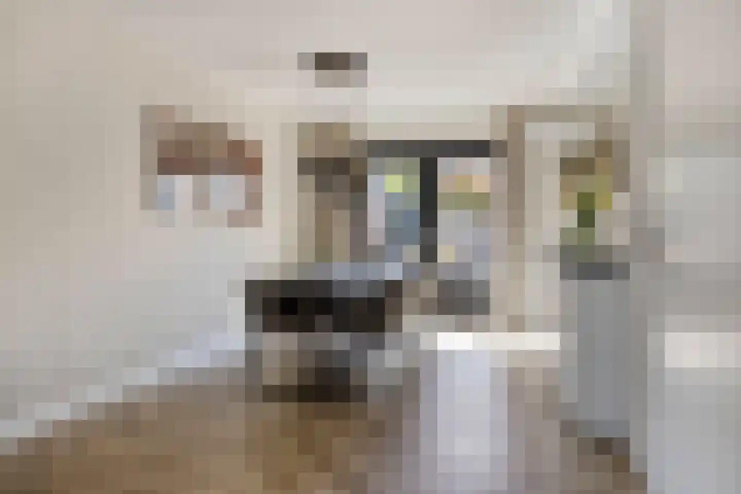 Waterhoenstraat 3 Goor thumbnail 9