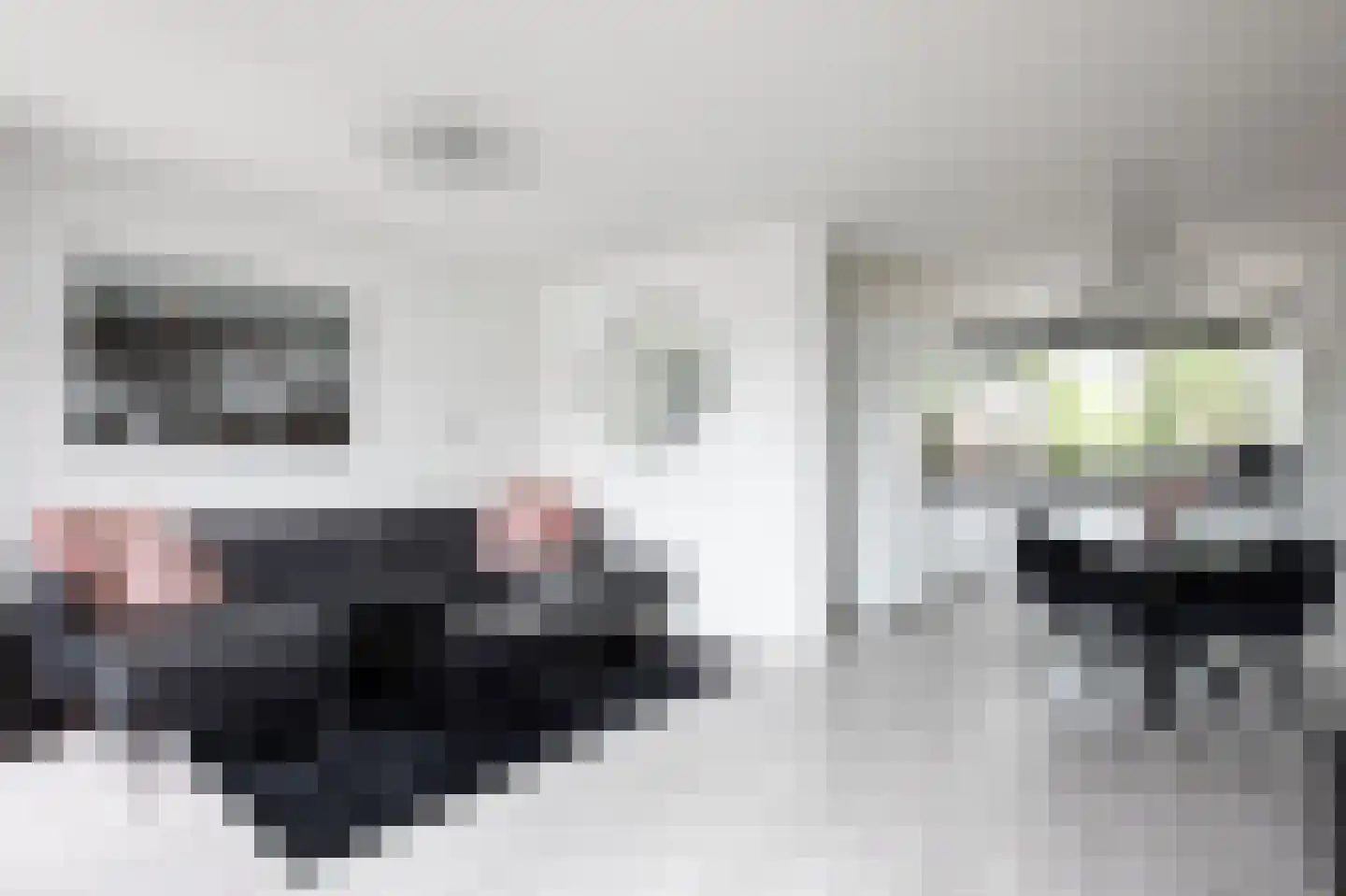 Waterhoenstraat 44 Aalsmeer thumbnail 10