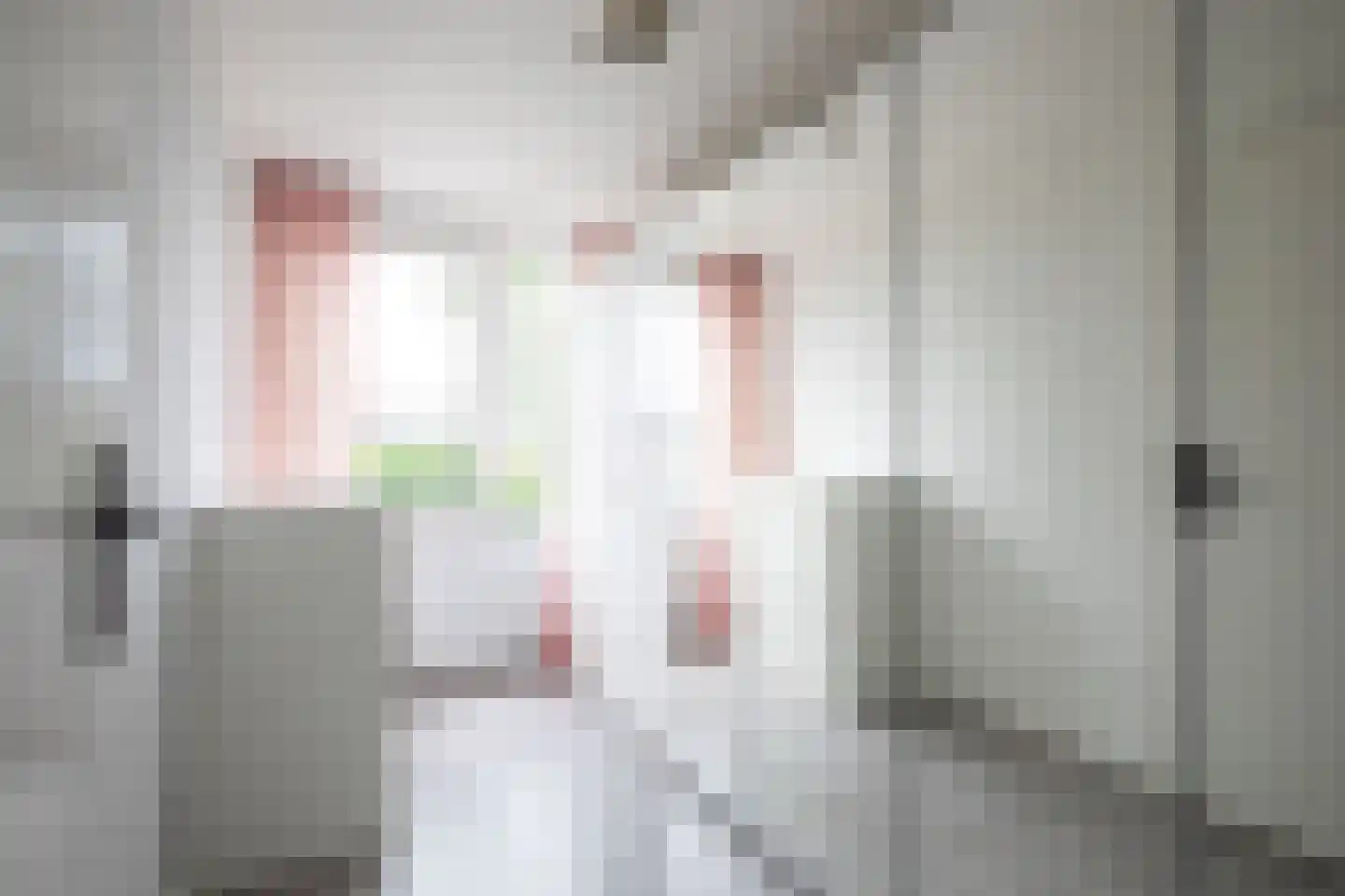 Waterhoenstraat 44 Aalsmeer thumbnail 20